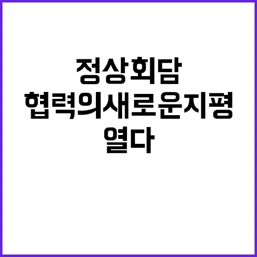 정상회담 한·페루 …