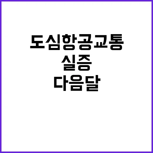 도심항공교통 다음 …