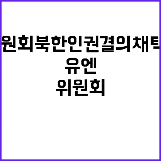 유엔위원회 북한 인권 결의 채택 ‘환영’ 소식!