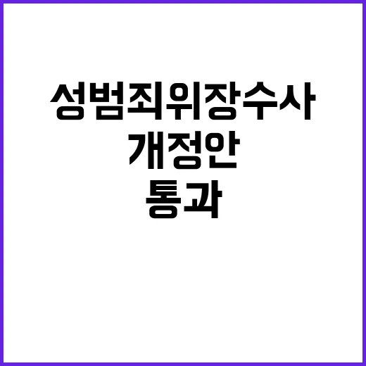 디지털 성범죄 위장…