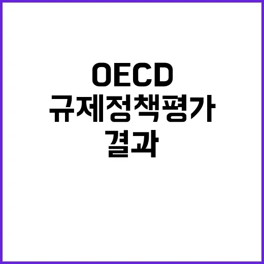 OECD 1위 규제정책 평가의 놀라운 결과!