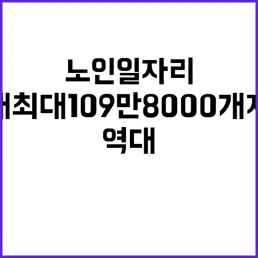 노인일자리 역대 최대 109만 8000개 제공!