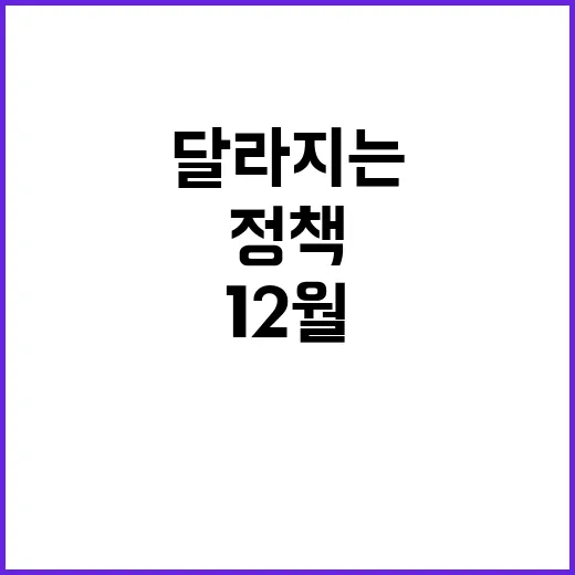 12월 정책 당신의 생활이 달라지는 순간!