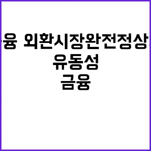 유동성 금융·외환시장 완전 정상화 여부는?