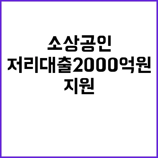 저리대출 2000억원 소상공인 지원획득 기회!