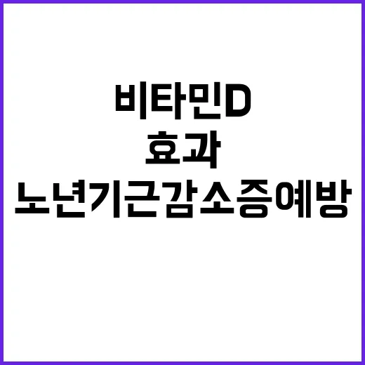 비타민D 노년기 근감소증 예방 효과 공개!