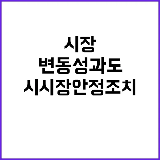 변동성 과도시 시장안정조치 신속 시행 예정!