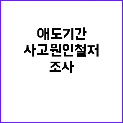 사고 원인 철저조사 및 애도기간 동안의 진실 공개!