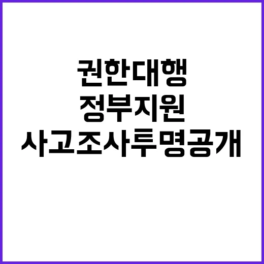 정부지원 사고조사 투명 공개 약속한 최상목 권한대행