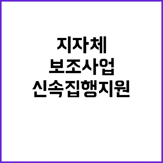 보조사업 지자체 신…