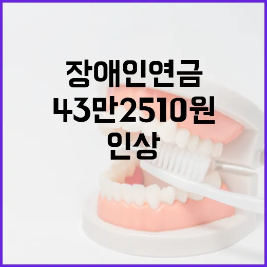 장애인연금 43만 2510원으로 인상 기쁜 소식!