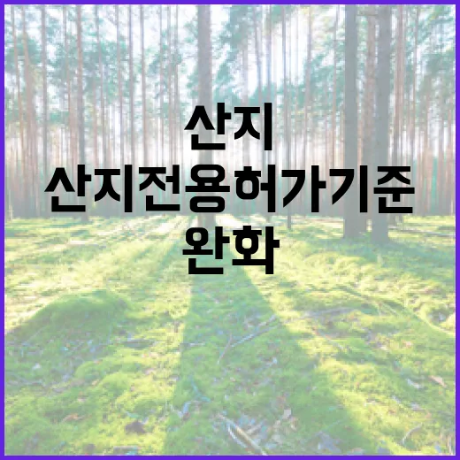 산지 전용 허가 기…