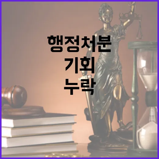 행정처분 보완 기회…