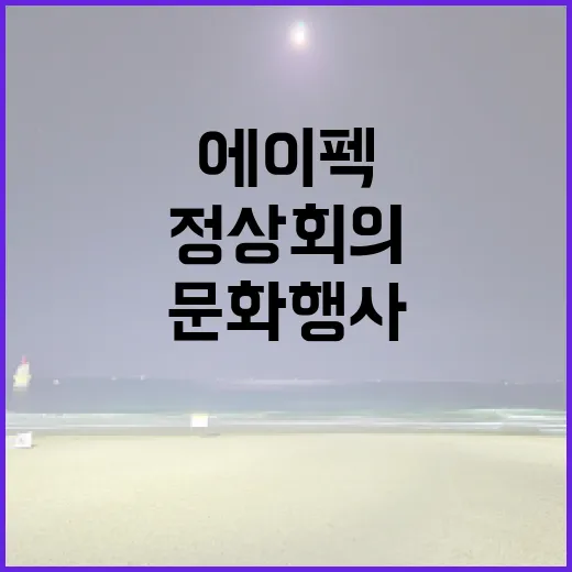 경주 에이펙 정상회…