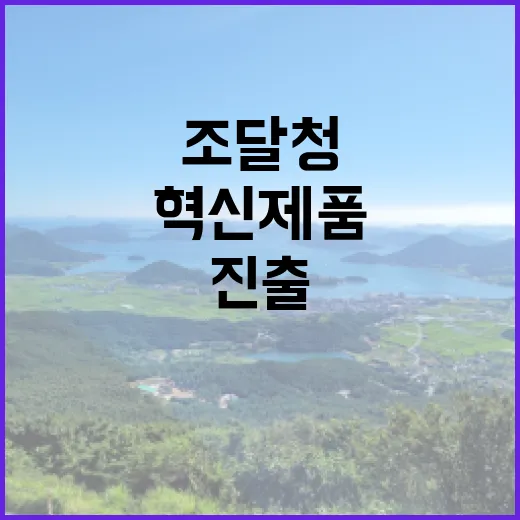 조달청 혁신제품 글…