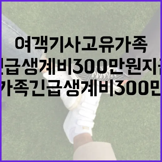 여객기 사고 유가족 긴급생계비 300만원 지급!