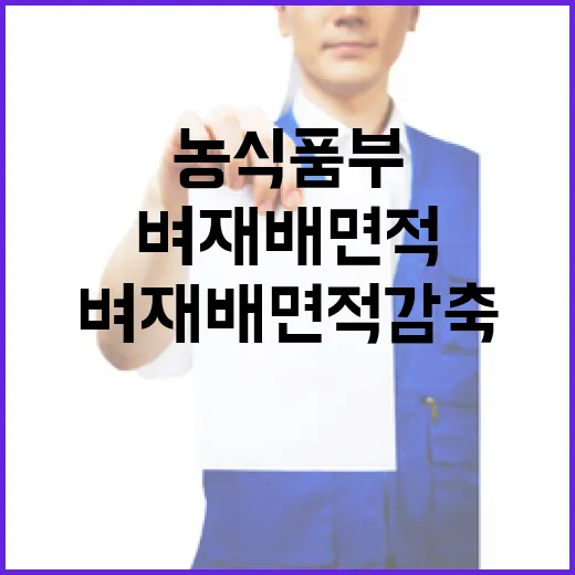 농식품부 벼 재배 면적 감축 통지 사실 무근!