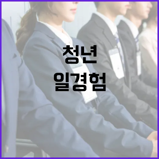 일경험 제공 미취업…