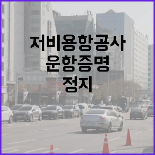 저비용항공사 운항증명 정지 강력 제재 소식!