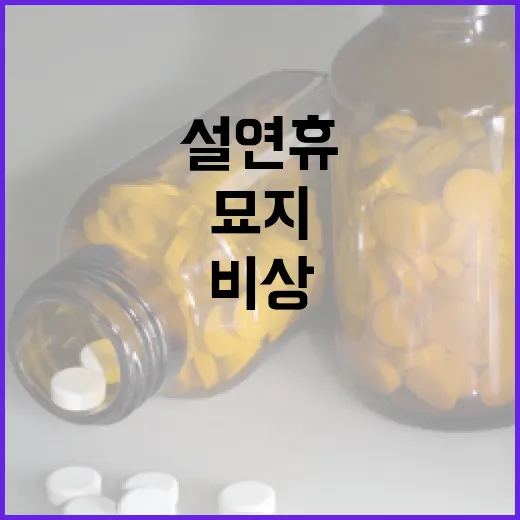 설 연휴 응급실 2…