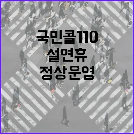 국민콜110 설 연휴 정상 운영 정보 제공!