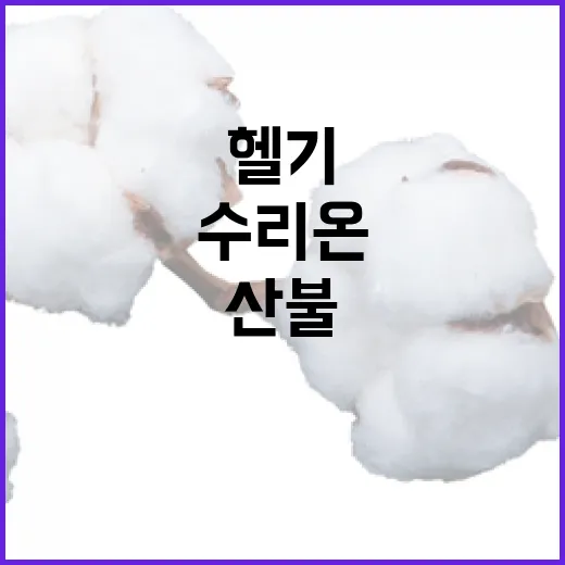 산림청 수리온 헬기…