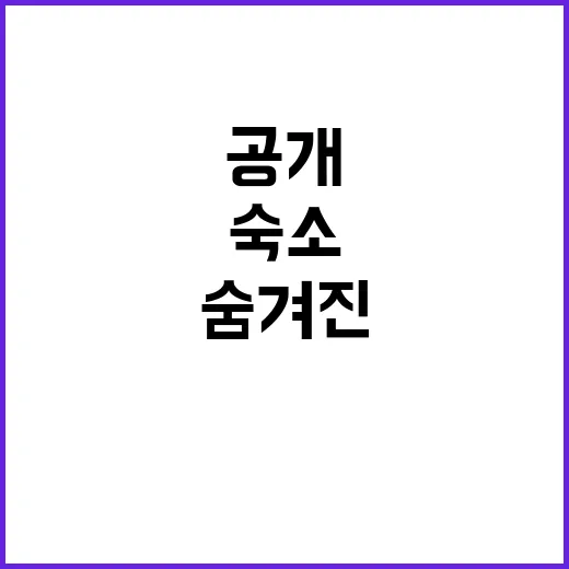 석양길 518