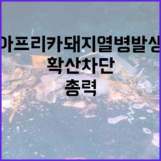 아프리카돼지열병 발…