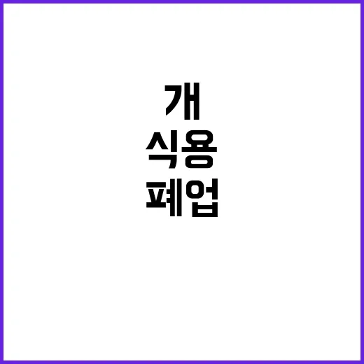 식용 개 사육 폐업…