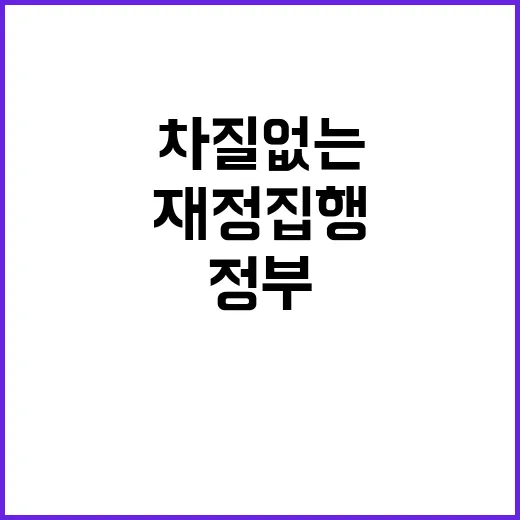 기금 정부 재정집행 차질 없는 계획 공개!