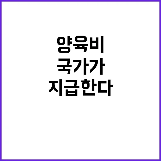 양육비 국가가 지급…