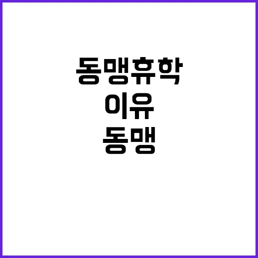 노동약자 보호법 특…