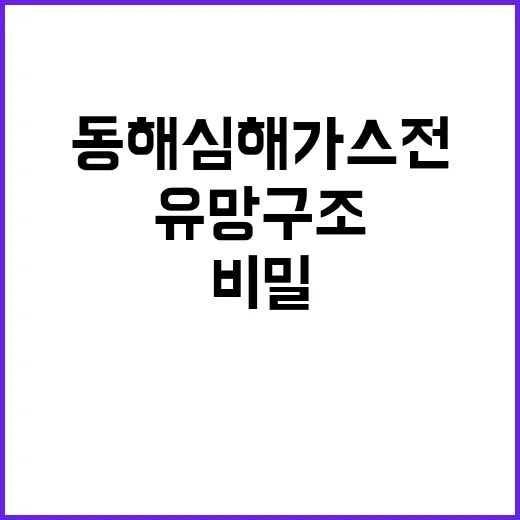 동해 심해 가스전 유망구조의 비밀 공개!