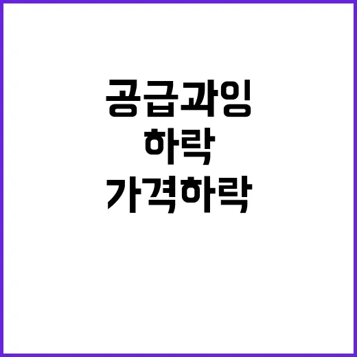 배추 공급 과잉 가격 하락 예고! 지금 확인하세요!