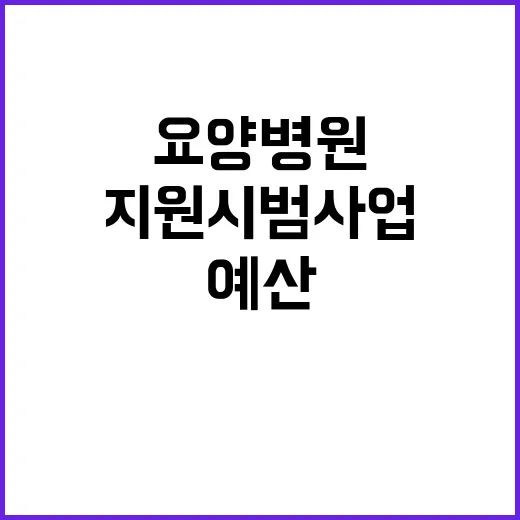 요양병원 예산 지원 시범사업의 숨겨진 사실 공개!