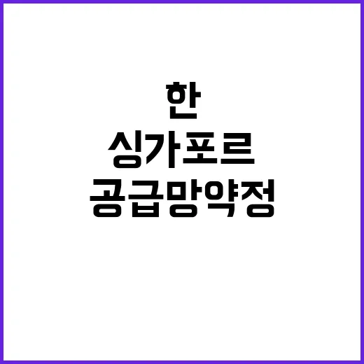 공급망 약정 한싱가포르의 새로운 협력 길!