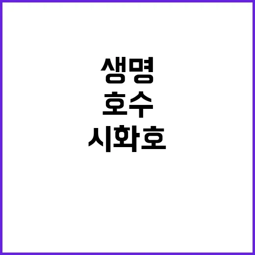 생명호수 시화호 미래 도시 탄생 비밀 공개!