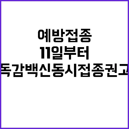 예방접종 11일부터 독감 백신 동시 접종 권고!