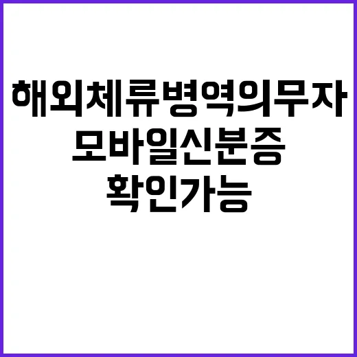 모바일신분증 해외 체류 병역의무자 확인 가능!