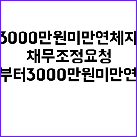 채무조정 요청 내일부터 3000만 원 미만 연체자!