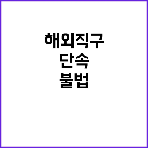 불법수입 단속 해외…