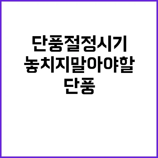 단풍 절정 시기! …