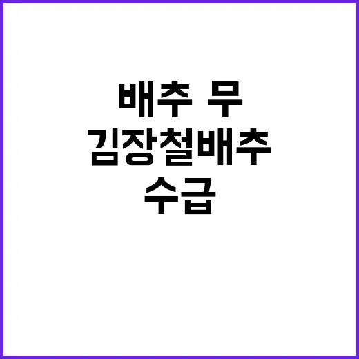 김장철 배추·무 수…