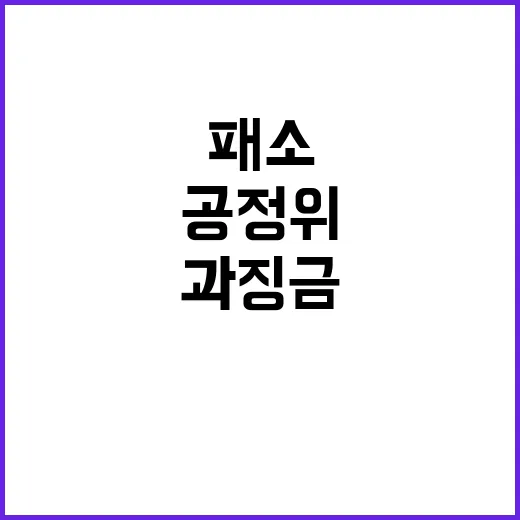 공정위 패소 후 과…