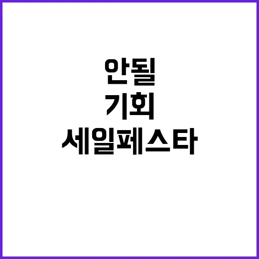 세일페스타 11월 놓쳐서는 안 될 기회!