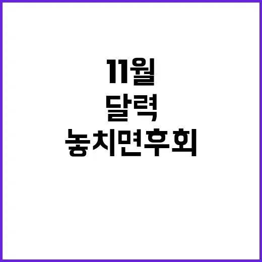 정책달력 11월 변…