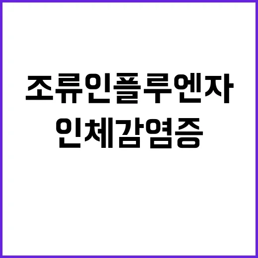 조류인플루엔자 인체…