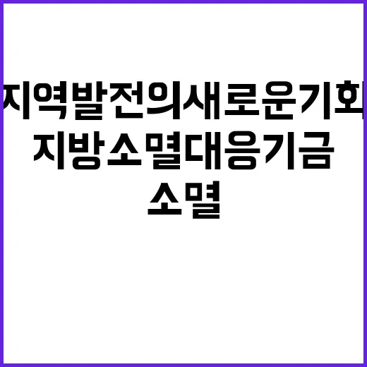 지방소멸대응기금 지…