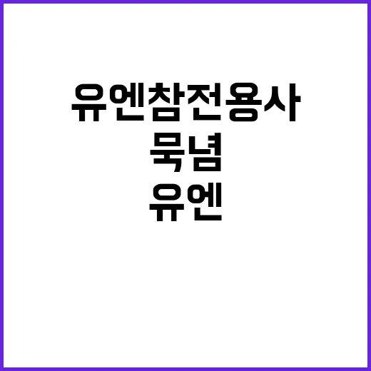 유엔참전용사 묵념 참여 강제성 없는 사실 공개