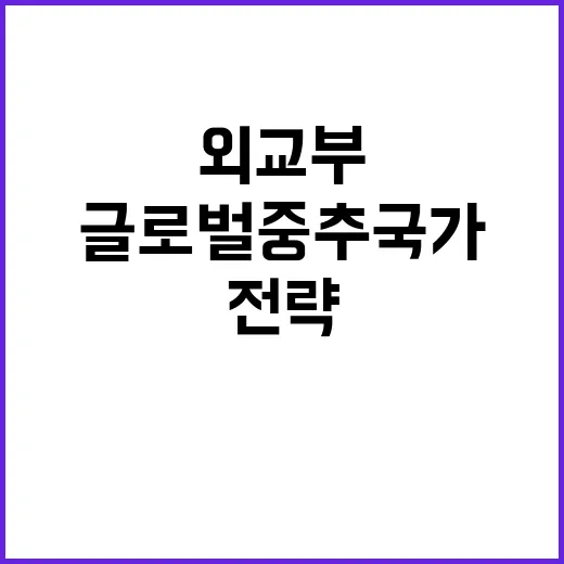 글로벌 중추국가 외…